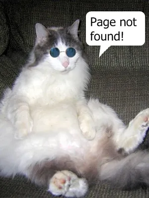 404 Error - Page not Found